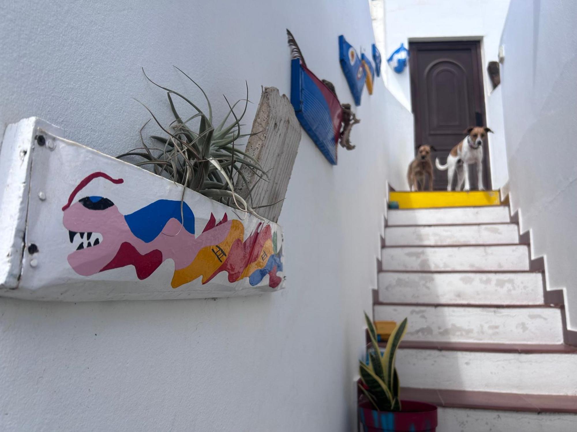 La Buganvilla Rooms Arrecife  Exterior foto